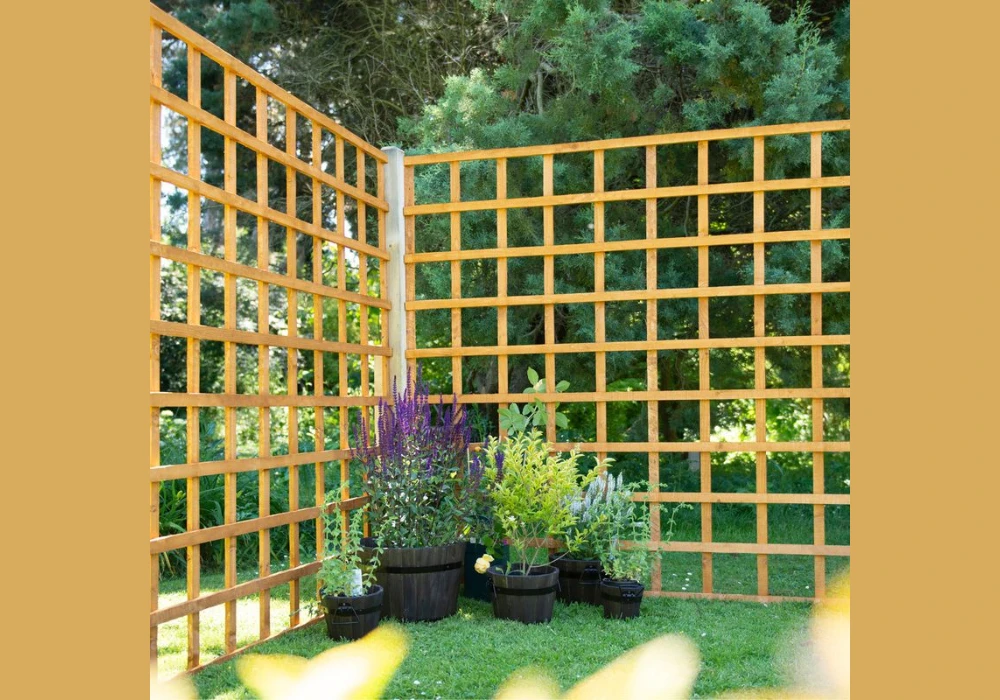 PVC Trellis Ideas for Lightweight and Budget-Friendly Setup