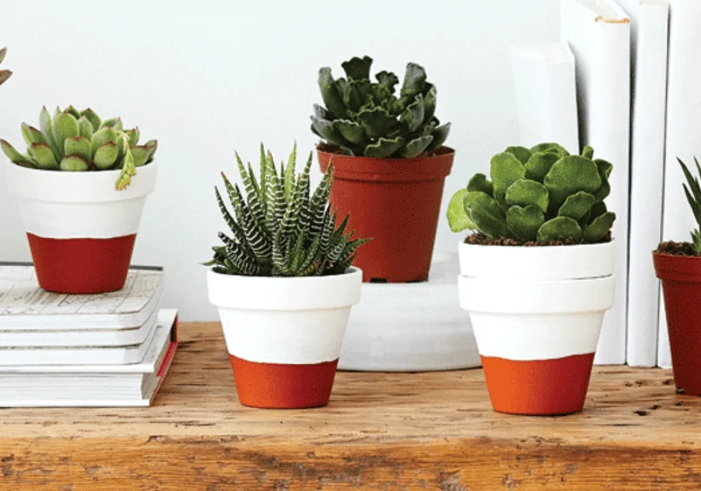 Painted Terracotta Pot Crafts for Indoor and Balcony Plants