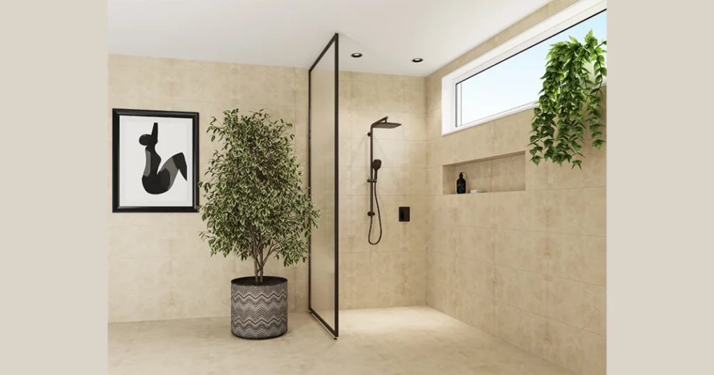 Aloe Vera for Functional and Decorative Use