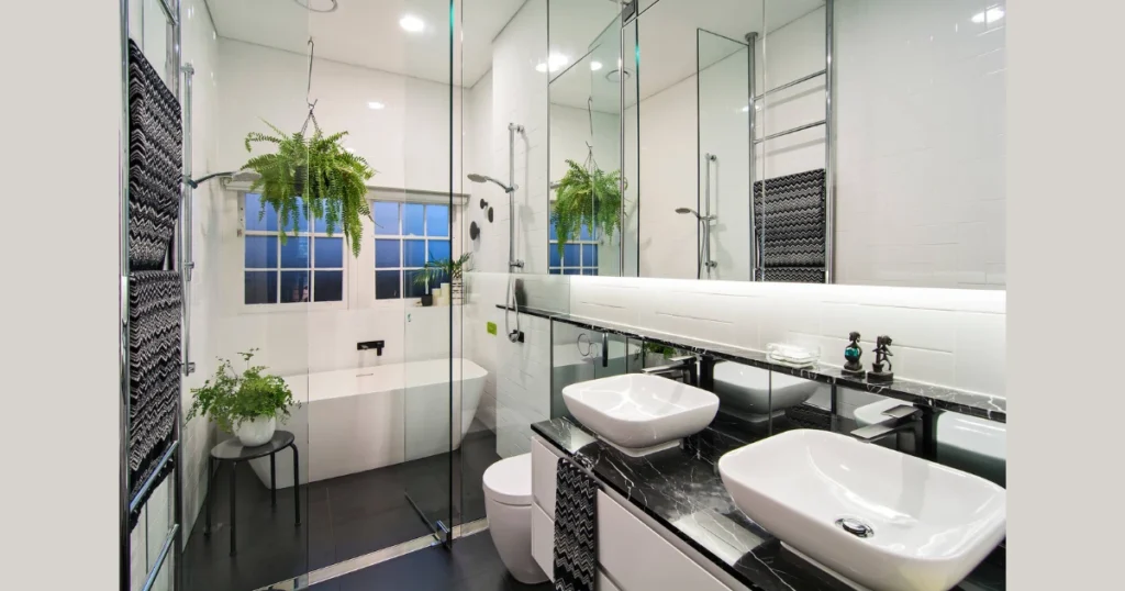 Boston Fern for a Fresh and Lush Look