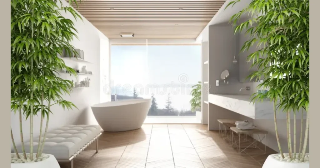 Bamboo Plant for a Minimal and Modern Style