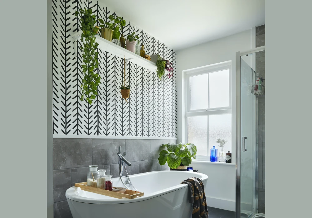 Potted Plants for Freshness