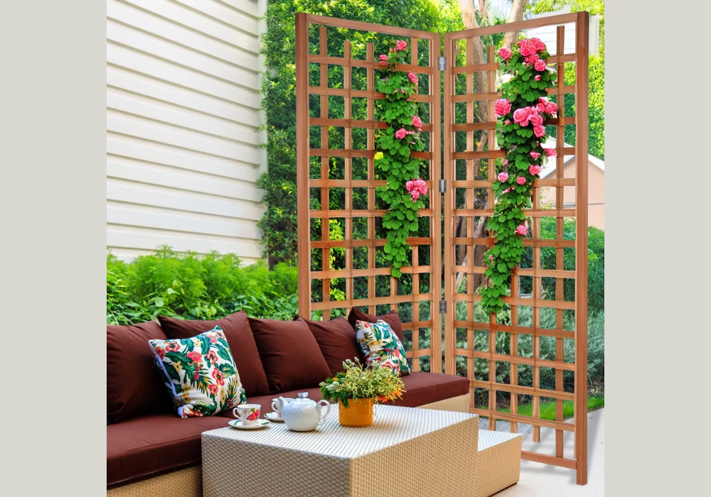 Privacy Trellis Designs for Outdoor Comfort