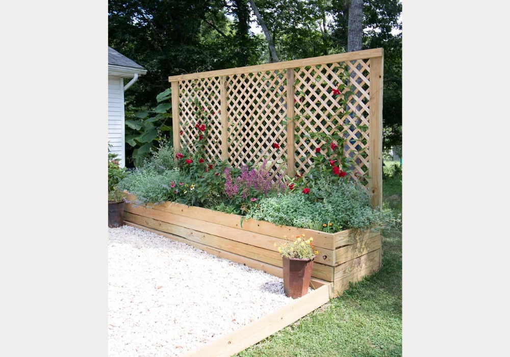 Privacy Trellis Ideas for Outdoor Screening and Comfort