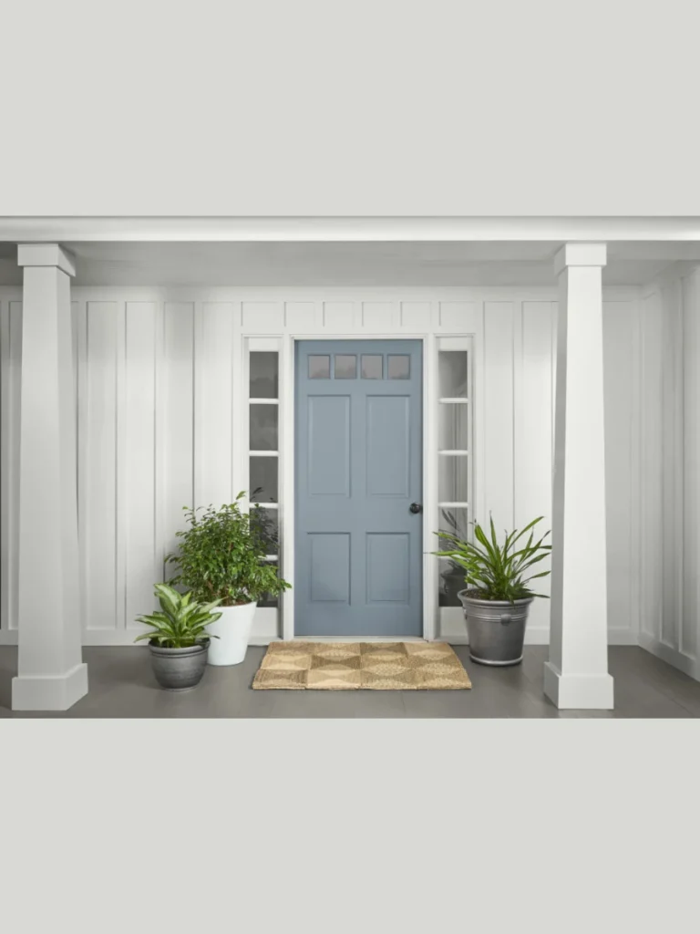 Professional Painting for Your Front Door