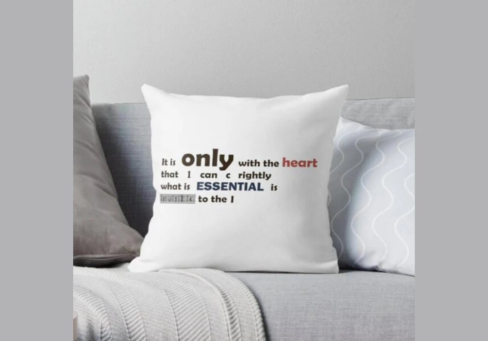 Quote Print Throw Pillow Cover Ideas for Personal Expression