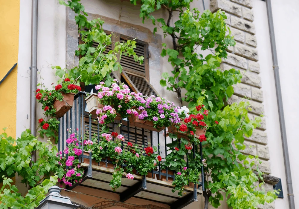 Railing planter balcony planting ideas