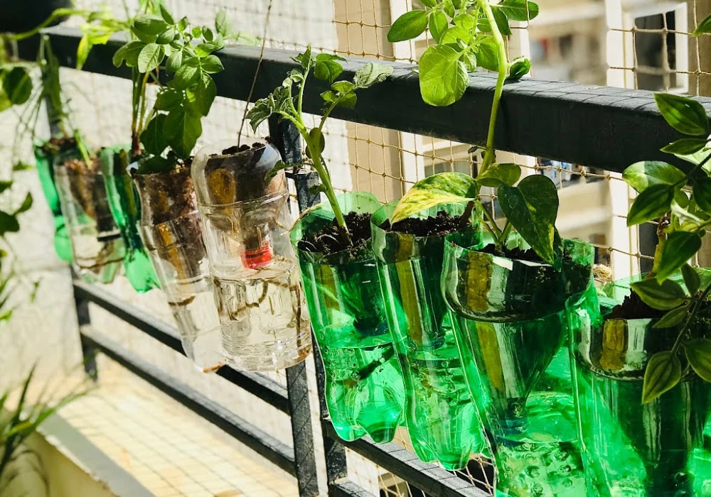 Recycled Bottle Plant Wall