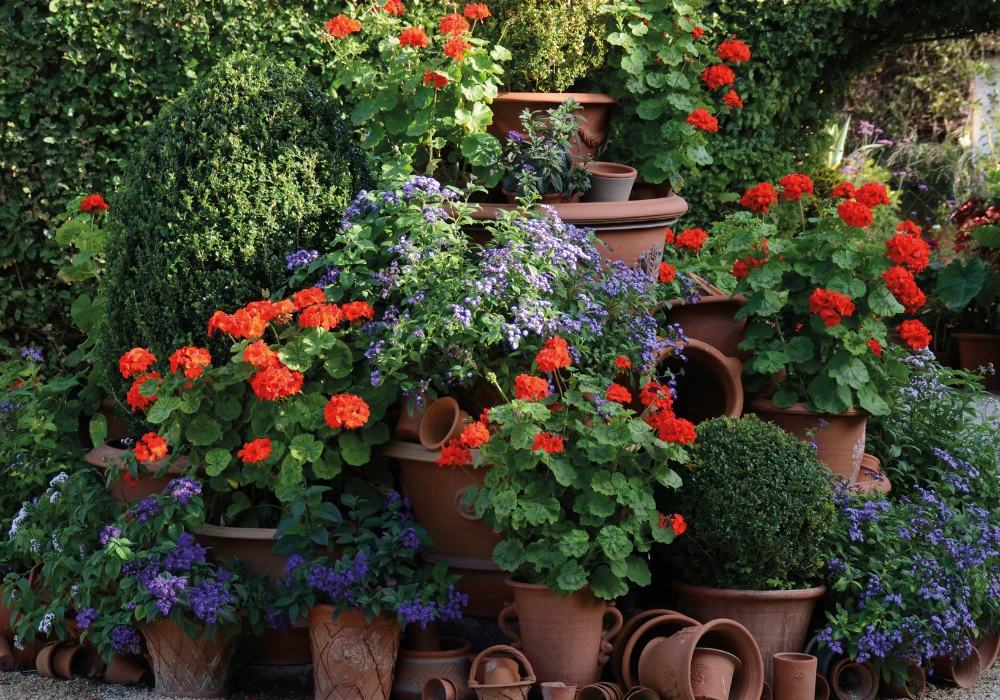Seasonal Balcony Flower Pots Ideas for Year-Round Beauty