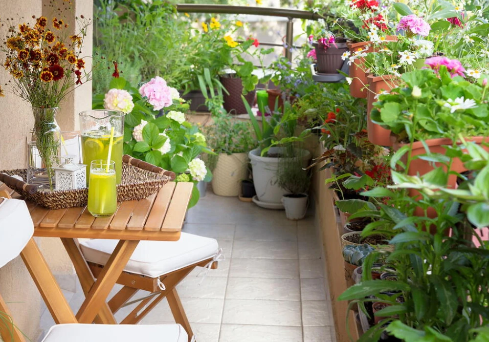 Seasonal Container Gardening Adjustments for Balcony Plants