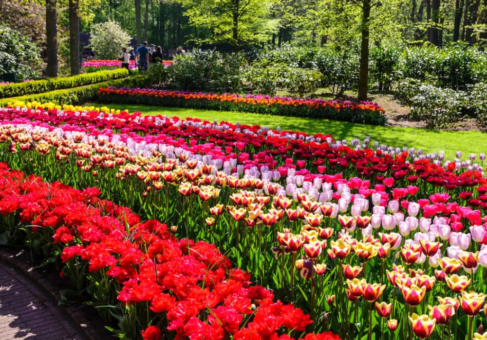 Seasonal Flower Arrangements for Garden Color