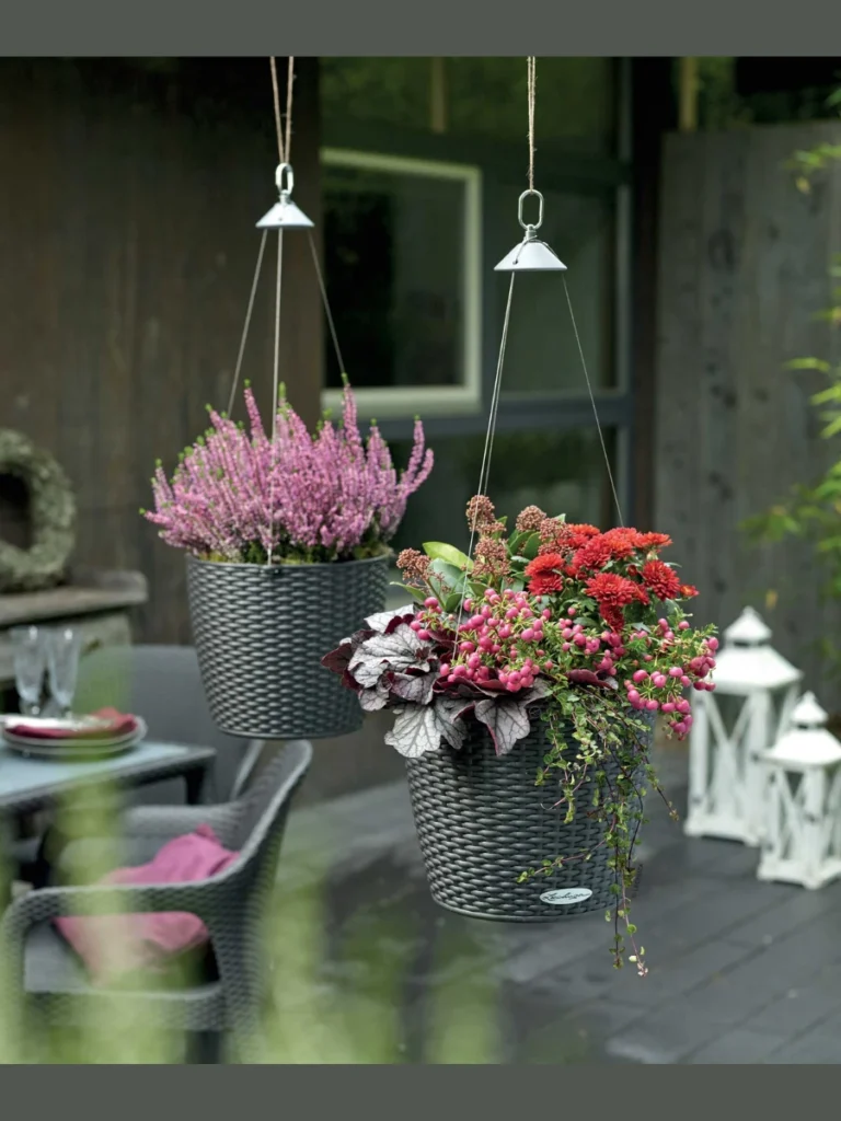 Seasonal Hanging Baskets