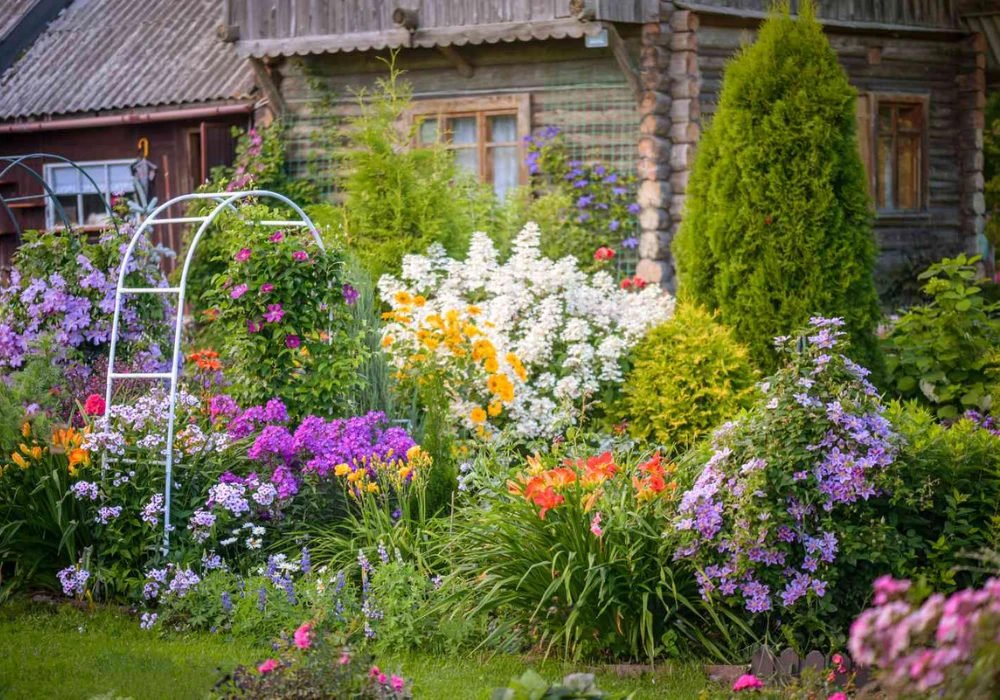 Seasonal Trellis Plants Ideas for Changing Garden Look