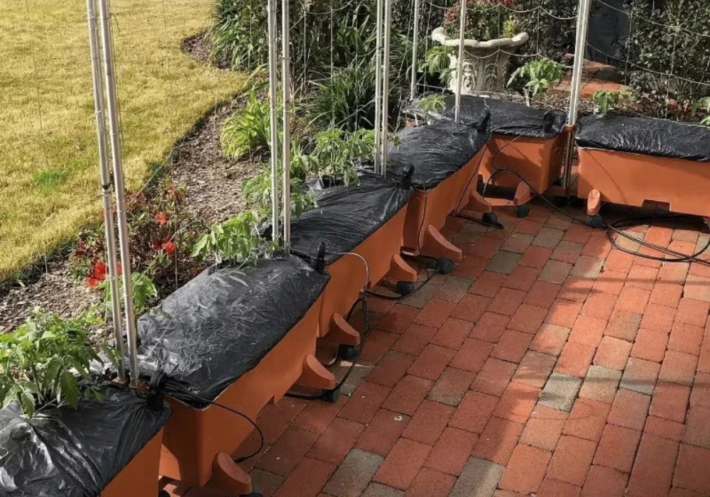 Self-Watering Balcony Plant Boxes for Low-Maintenance Gardening