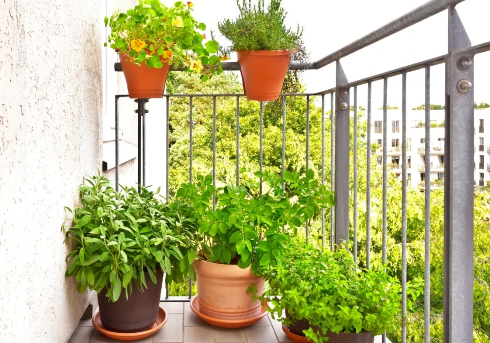 Self-Watering Planters for Easy Maintenance Gardening