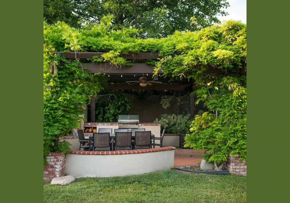 Shade Giving Trellis Plants Ideas for Cooling Outdoor Spaces