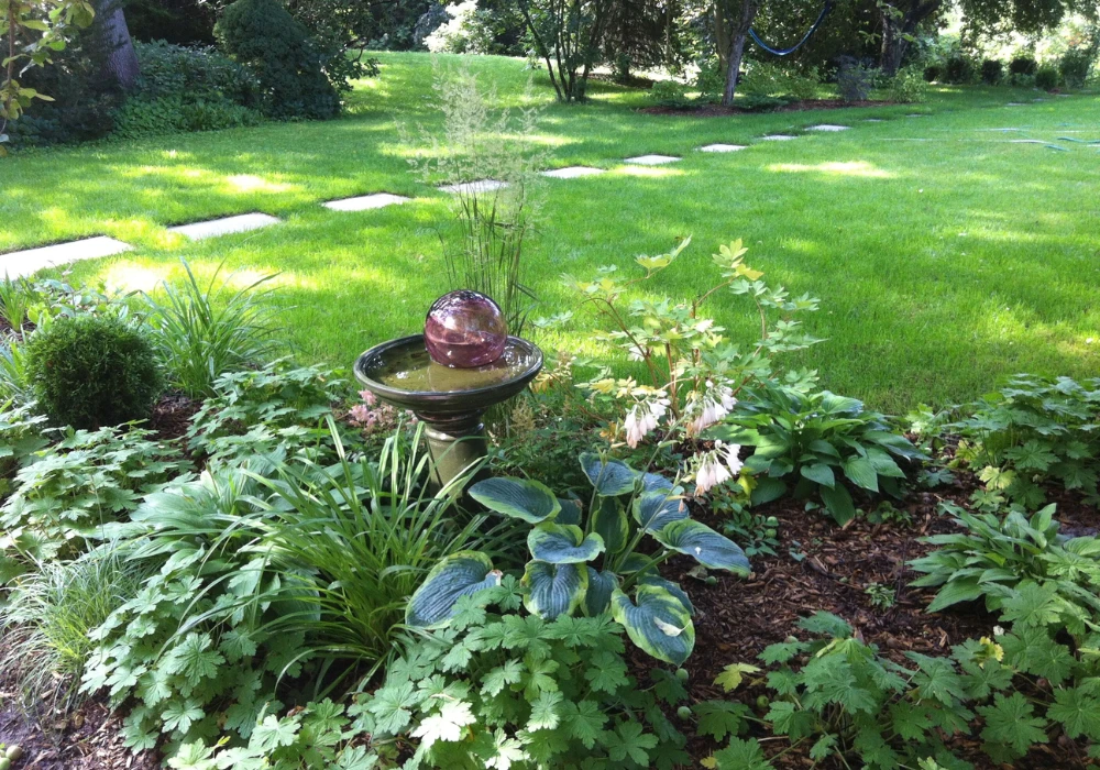 Shaded Bird Bath Under Plants