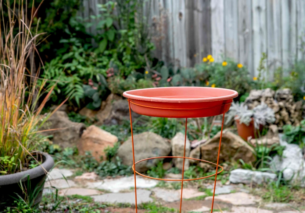 Simple Bowl Bird Bath Setup