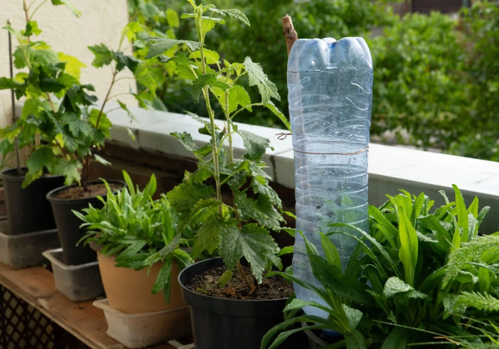 Simple Watering System for Balcony Plants