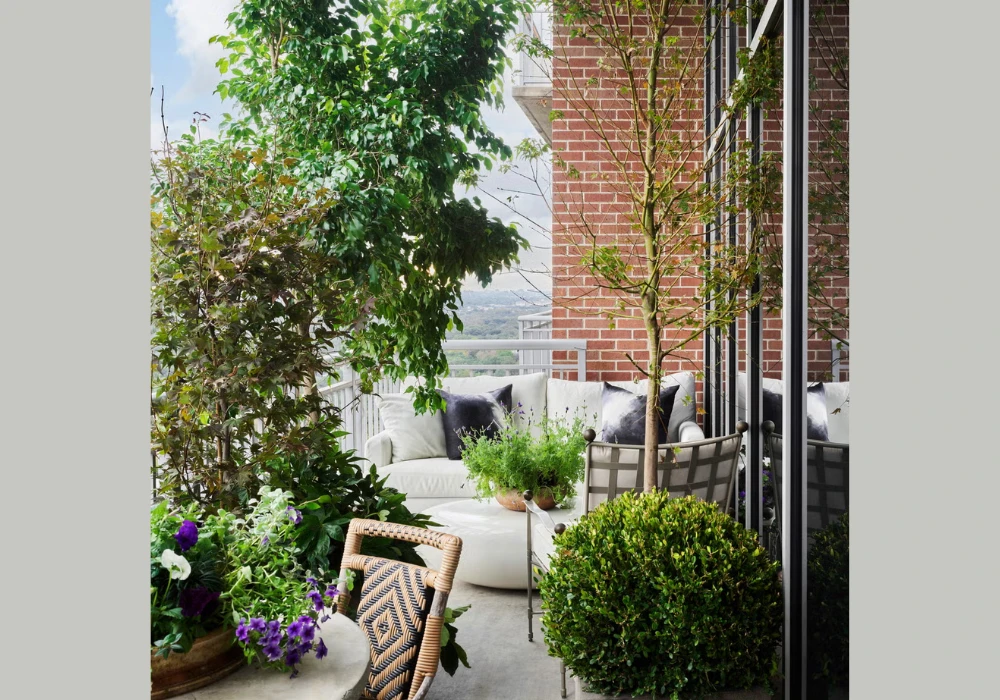 Terrace Garden Seating Ideas with Plants