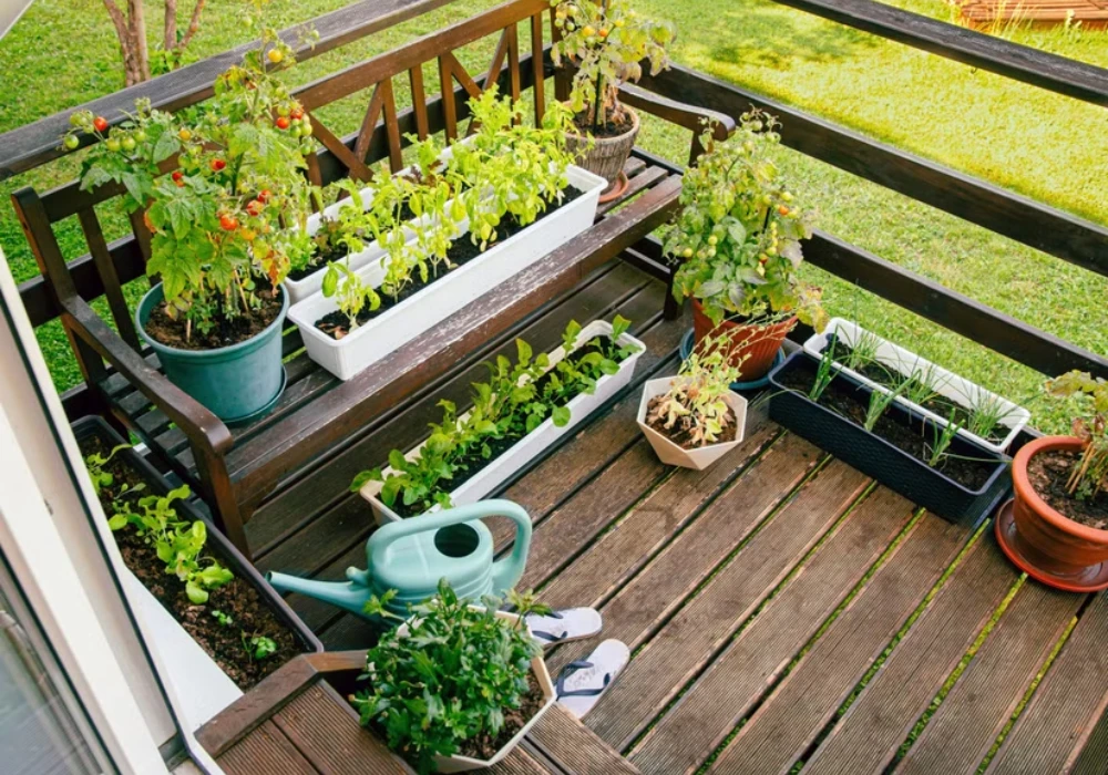 Terrace Herb Garden Ideas for Daily Cooking