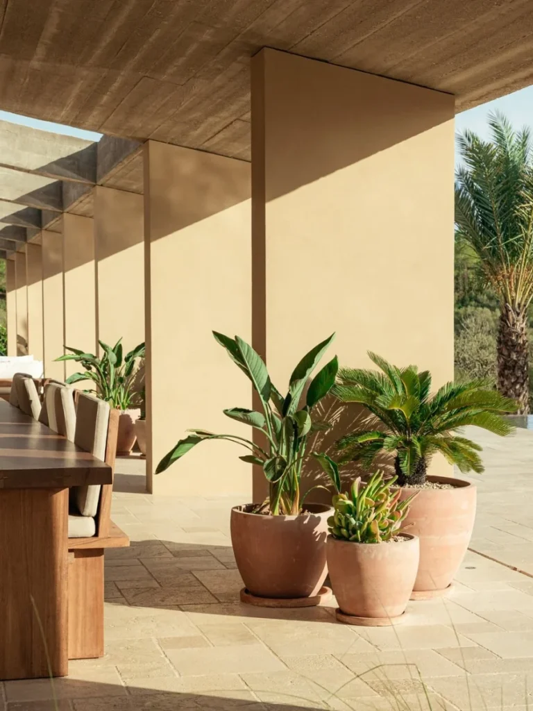 Terracotta Tones for a Mediterranean Vibe