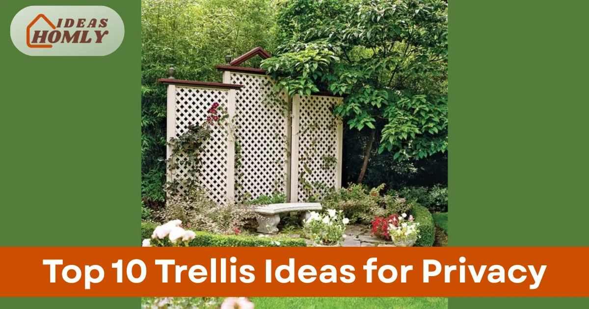 Trellis Ideas for Privacy