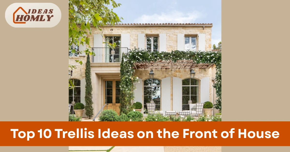 Trellis Ideas on the Front of House