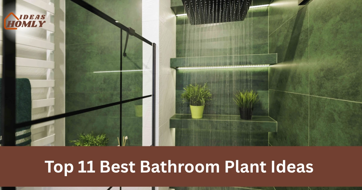 Best Bathroom Plant Ideas
