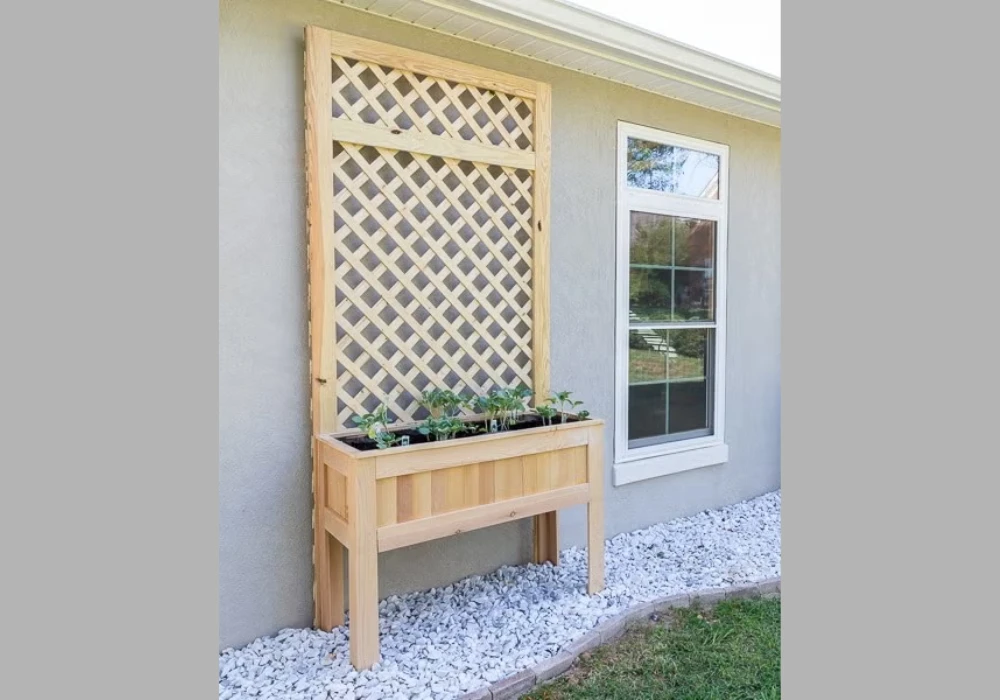 Trellis Panel Beside Front Windows
