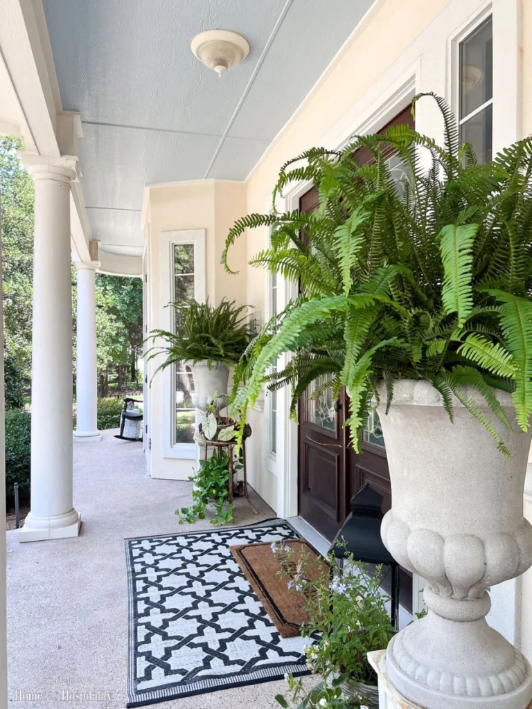 Tropical Foliage For Shaded Porches