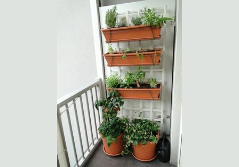 Vertical Container Gardening for Space Saving
