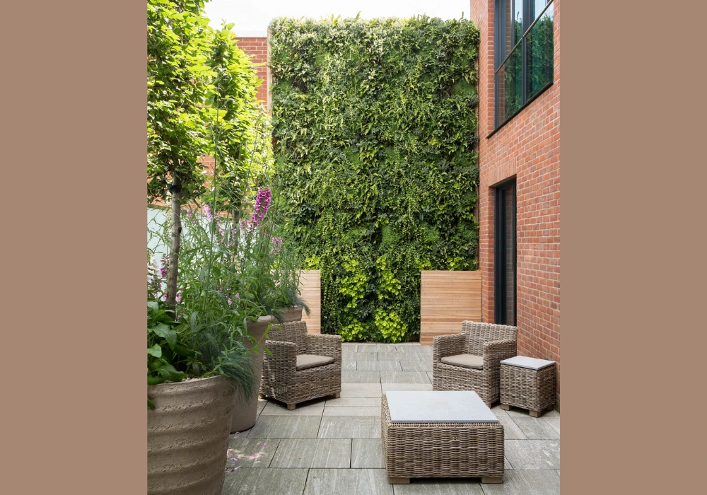 Vertical Garden Trellis Fence Ideas for Small Spaces