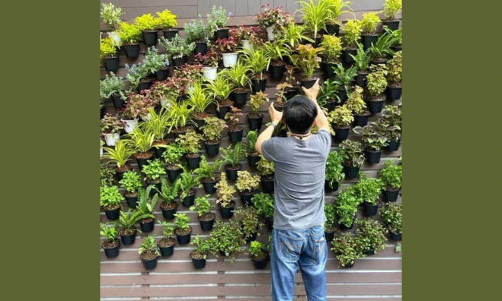 Vertical Gardens for Small Spaces