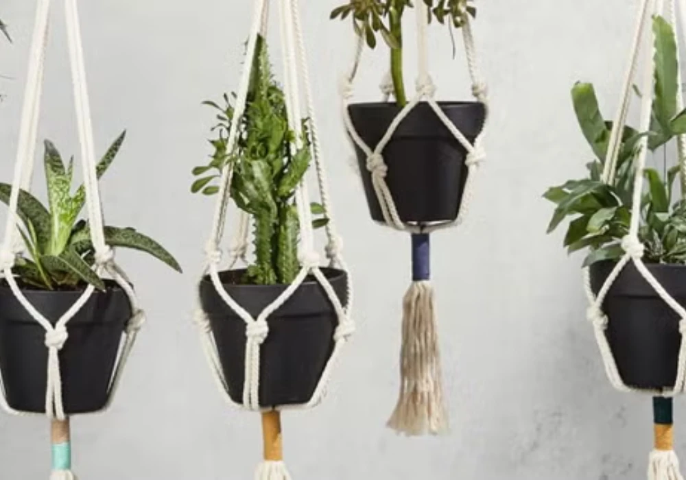 Vertical Rope Hanging Garden for Layered Greenery