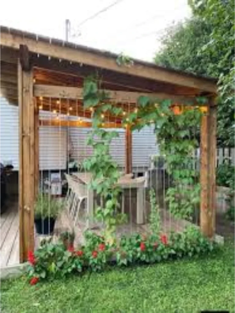 Vertical Trellis and Climbing Vines