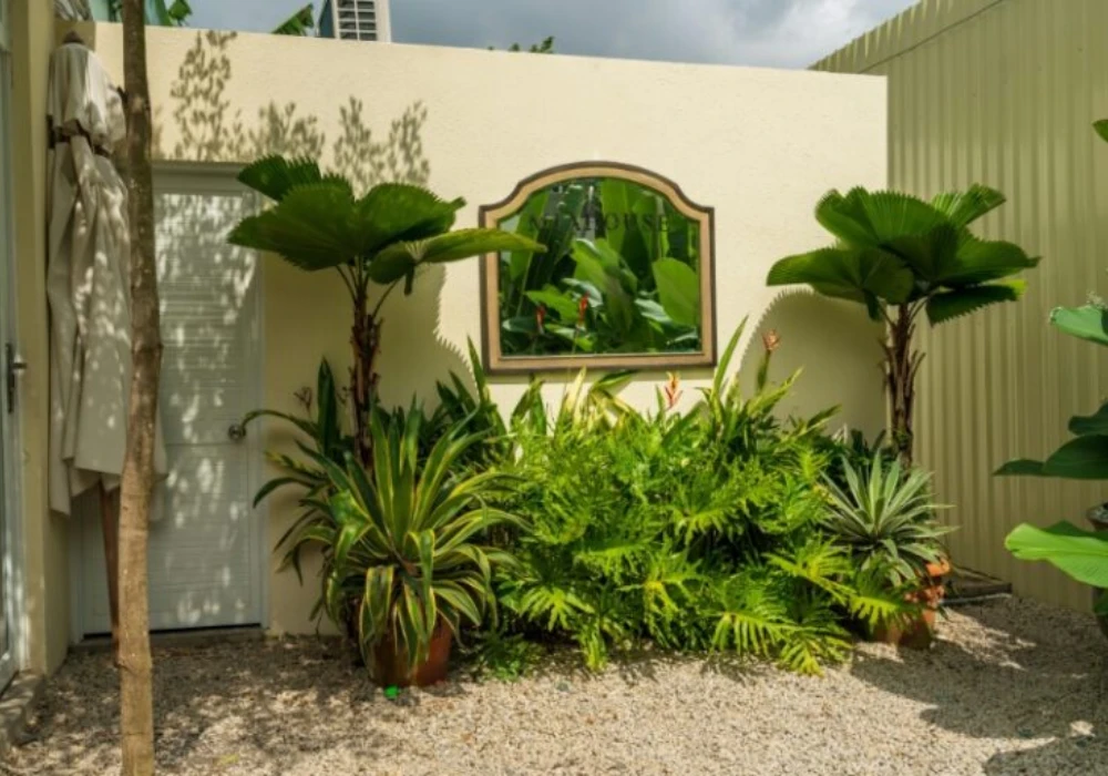 green plant corners for natural summer vibes