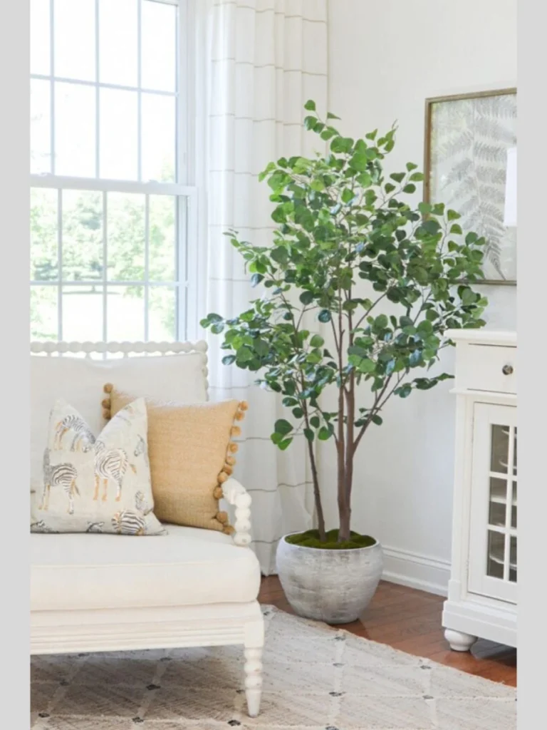 Adding Fresh Greenery to Empty Corners