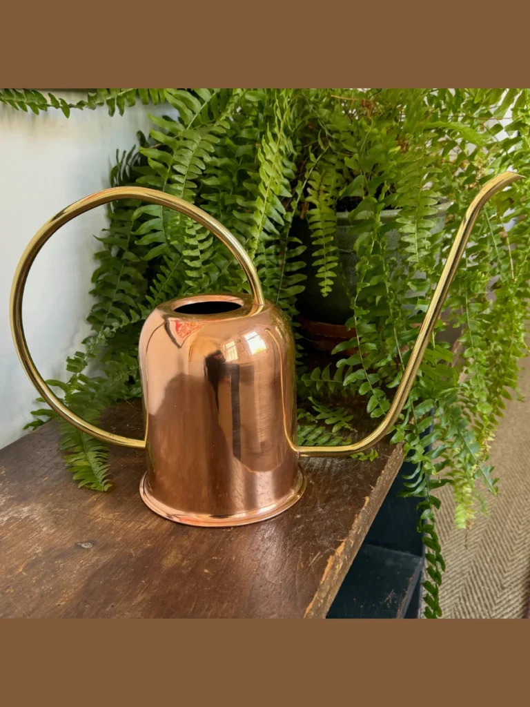 Antiqued Copper Long Spout Watering Cans