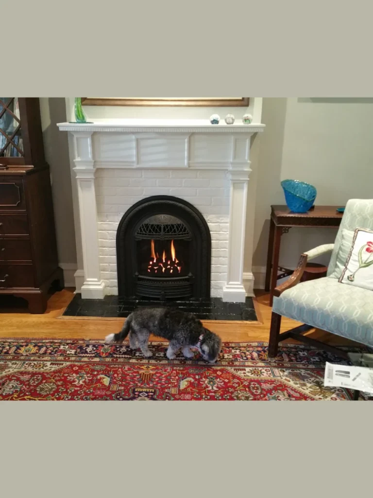 Arched Masonry Fireplace Openings 