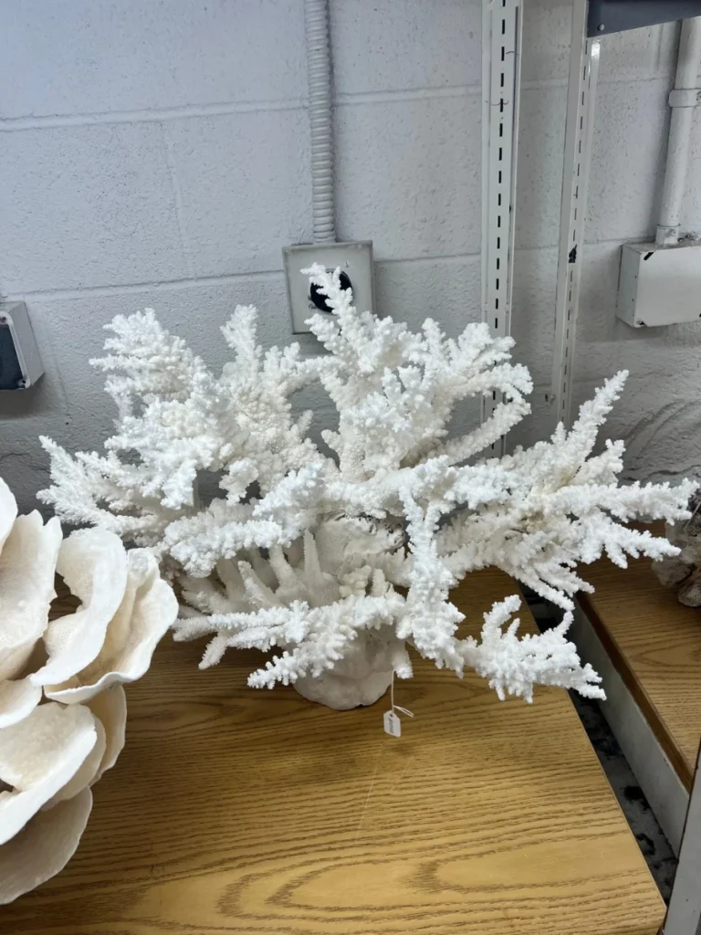 Branching Cast Aluminum Coral Reproductions