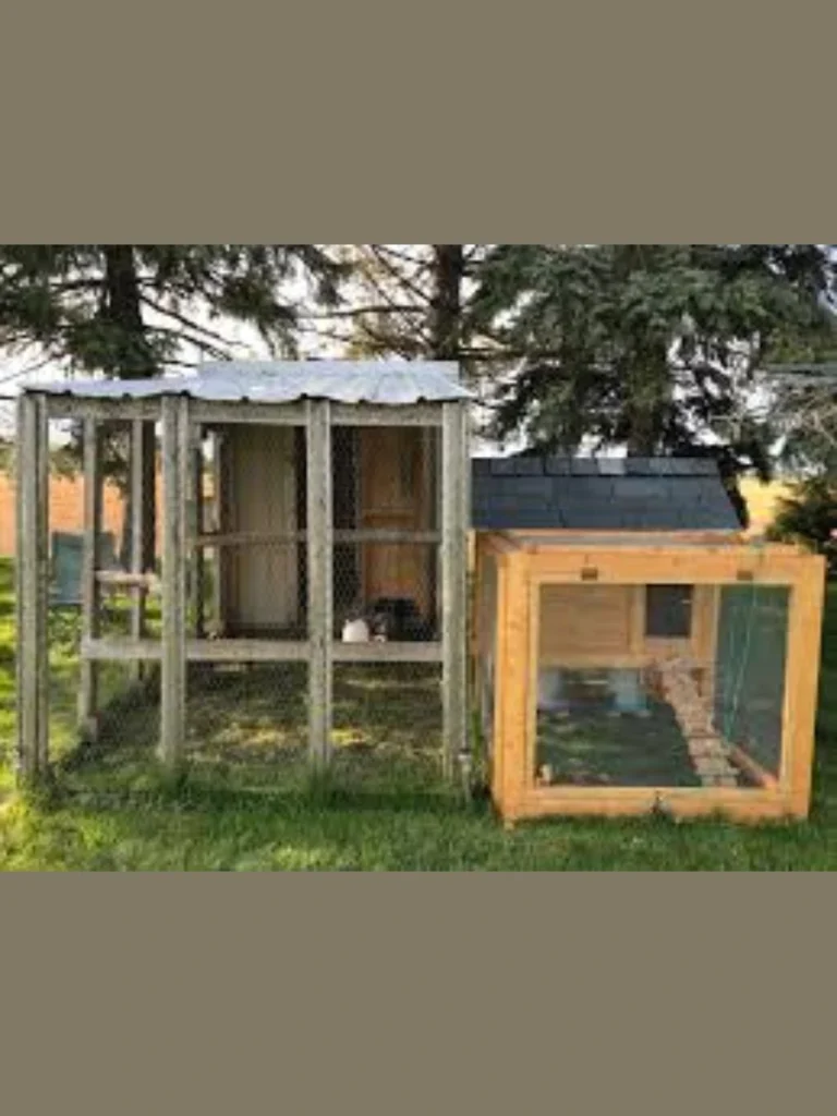 Clear View Chick Integration Dividers