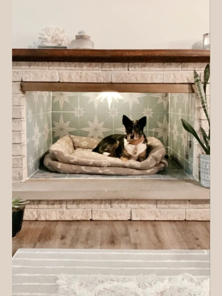 Cozy Pet Nook and Bed