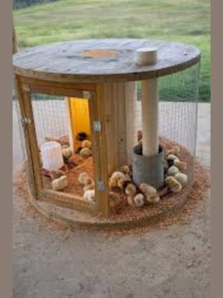 Divided Chick Brooder Safety Walls
