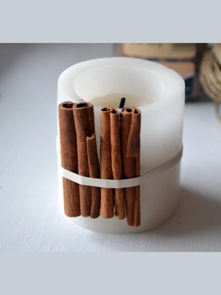 Dried Cinnamon Stick Planter Jackets
