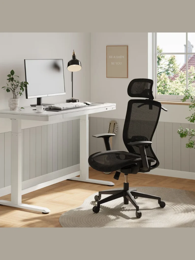 Ergonomic Desk Chairs For Home Offices