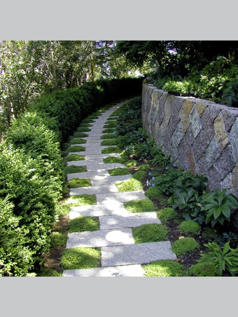 Flagstone Stepping Stones through Groundcover