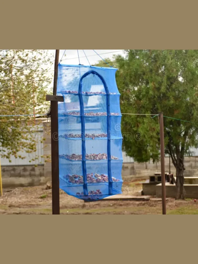 Fruit and Vegetable Drying Racks