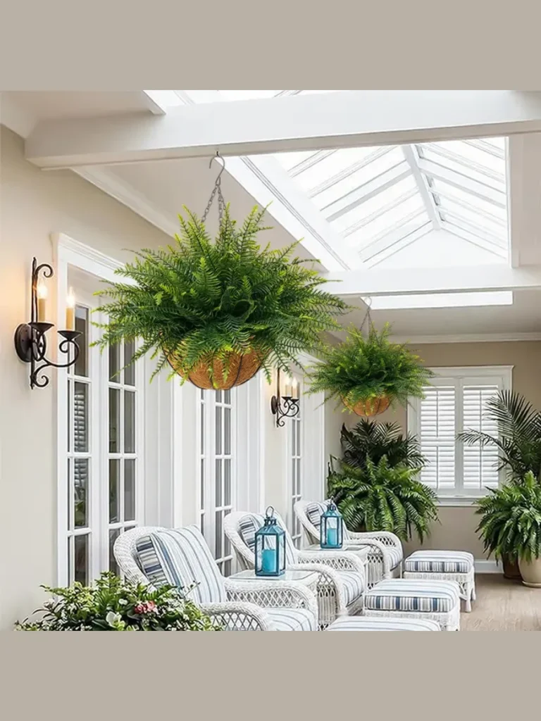 Hanging Fern and Flower Baskets