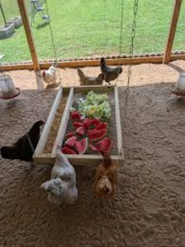 Hanging Vegetable Forage Baskets